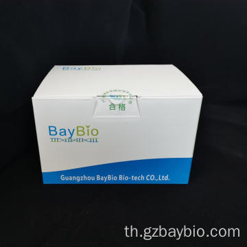 การวิจัยตัวอย่างการวิจัย Baypure Gel DNA RECOVERE